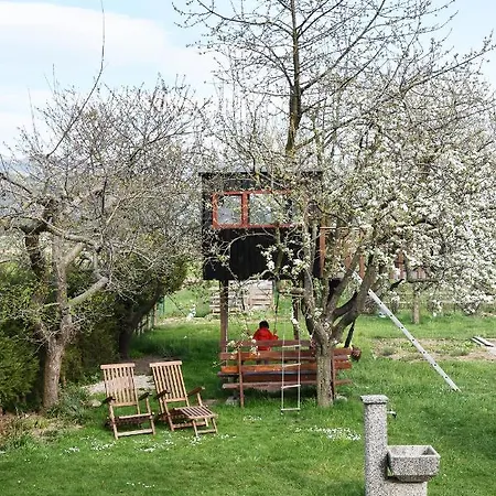 Lesnavesna Designer With A Garden
