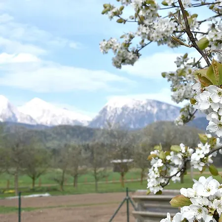 Lesnavesna Designer With A Garden Visoko (Sencur)