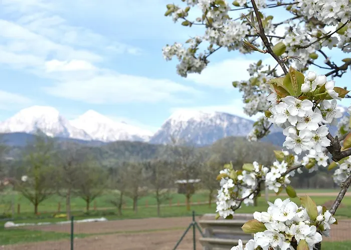 Lesnavesna Designer With A Garden Visoko (Sencur)